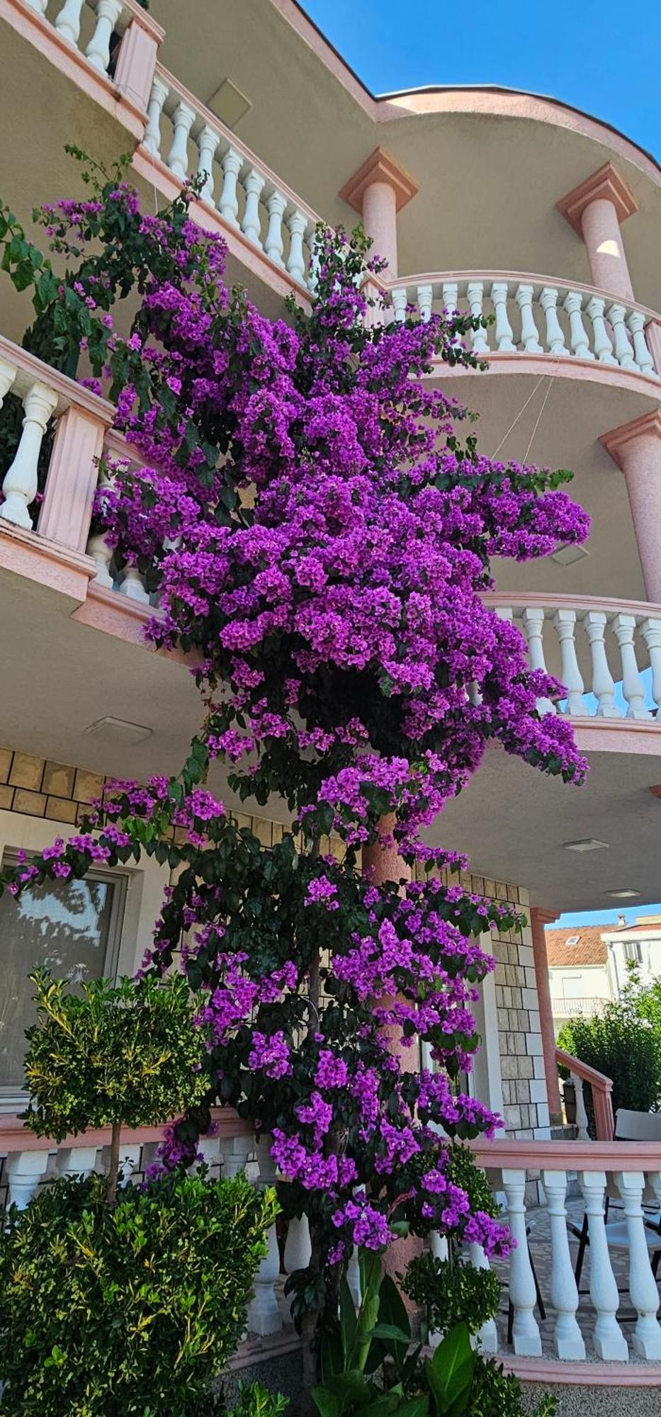 Kurt Apartaments Ulcinj Exterior foto